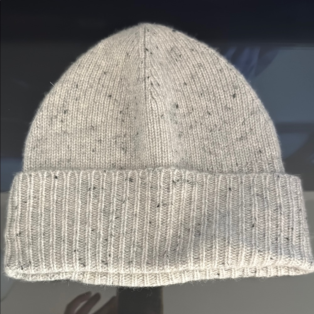 Aritzia Batton knit Beanie